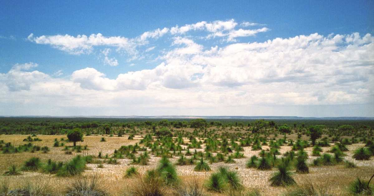 Western Australia eases PR rules for skilled migrants